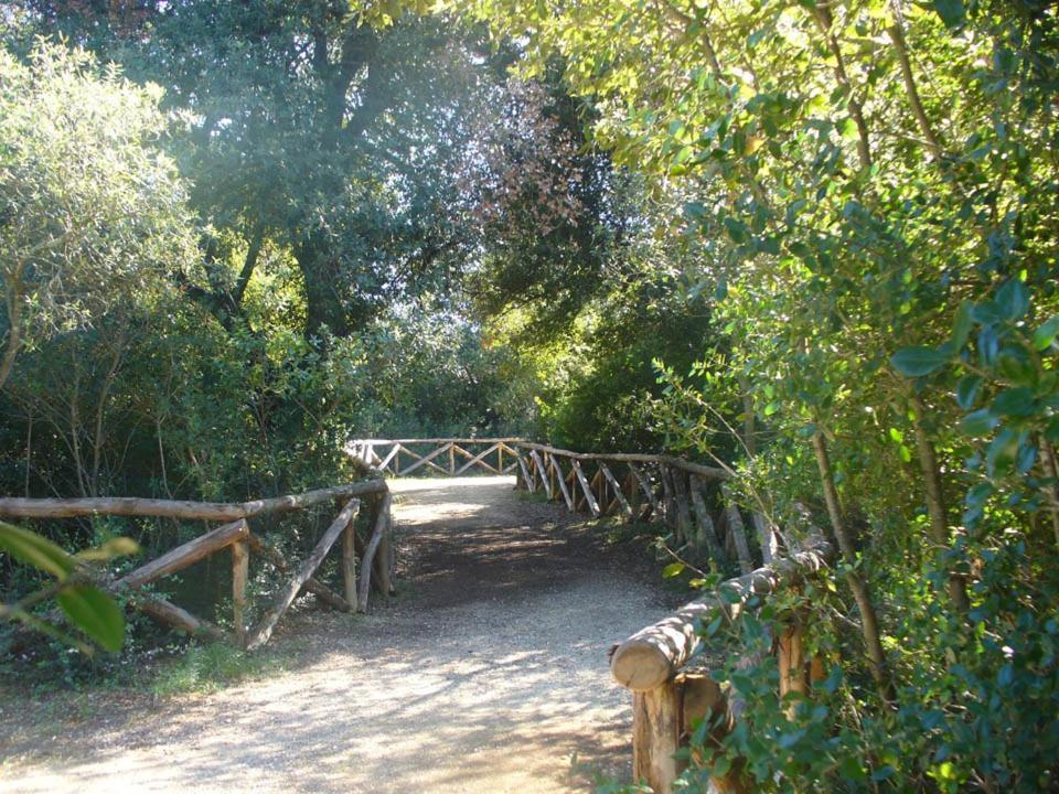 דירות מנדוריה Journey House מראה חיצוני תמונה